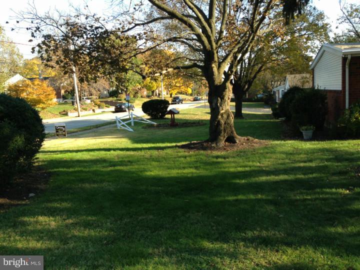 920 Church Road Springfield, PA 19064 - Photo 16 of 19 Side Yard
