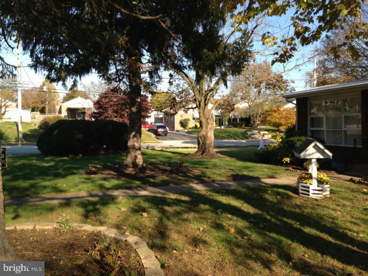 920 Church Road Springfield, PA 19064 - Photo 18 of 19 Front Yard