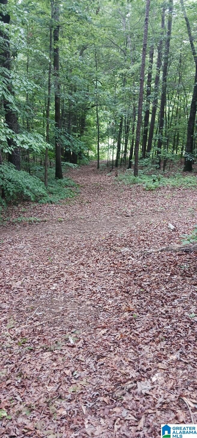 76 Halls Folly Road Dadeville, AL 36853 - Photo 22 of 23 Gallery Image 22