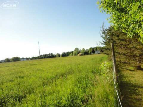 8318 Cook Road Swartz Creek, MI 48473 - Photo 50 of 50 20439940-49.JPG