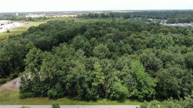 an aerial view of forest