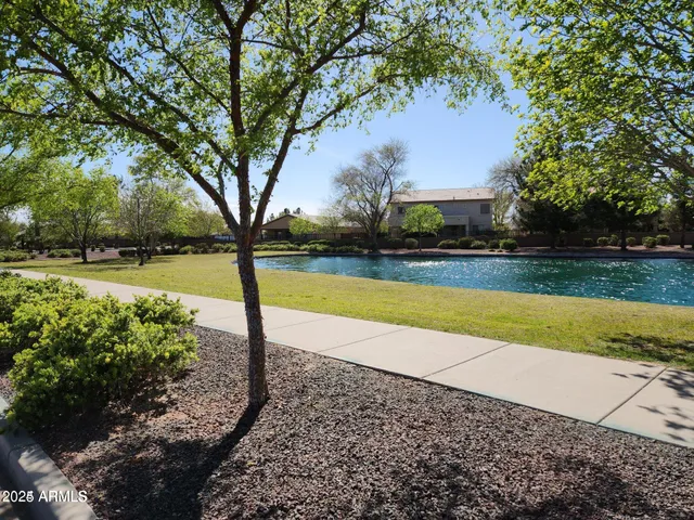 a view of a yard with palm trees