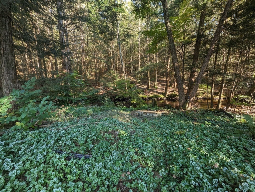 93 Blood Road Charlton, MA 01507 - Photo 7 of 42 a view of a lush green forest
