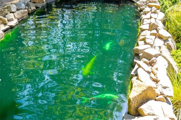 $1,340,000 | 12500 Cenegal Road, Atascadero, CA 93422