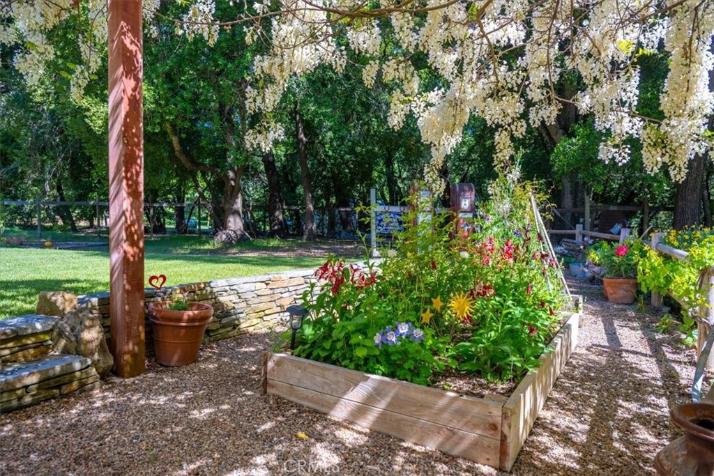 12500 Cenegal Road Atascadero, CA 93422 - Photo 59 of 75 Garden