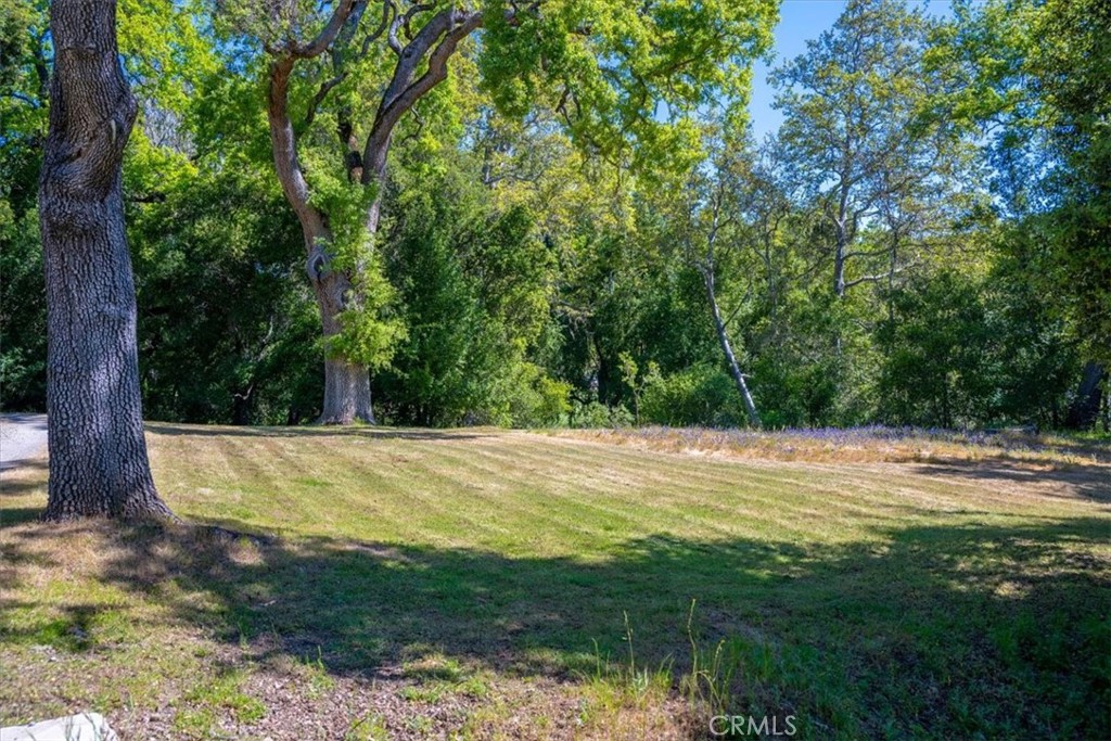 12500 Cenegal Road Atascadero, CA 93422 - Photo 6 of 75 Meadow