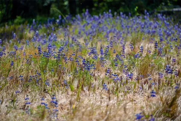 $1,340,000 | 12500 Cenegal Road, Atascadero, CA 93422