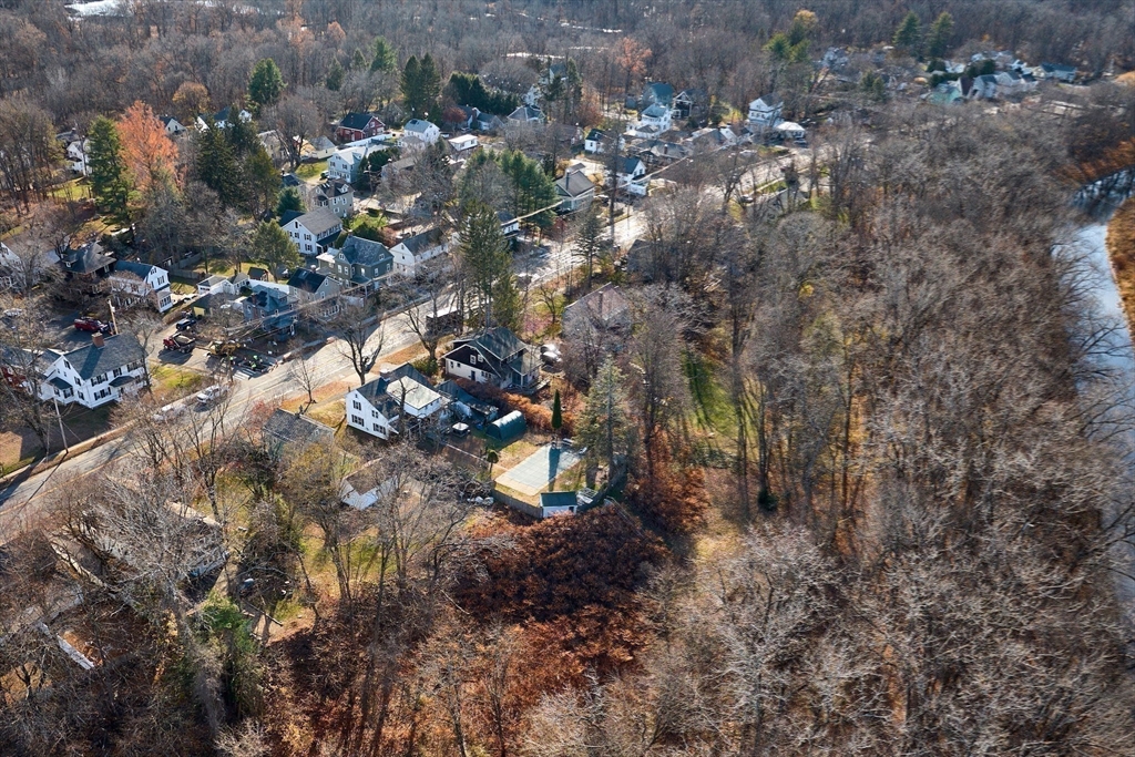 283 South Street Northampton, MA 01060 - Photo 28 of 32 a view of a tree in a forest