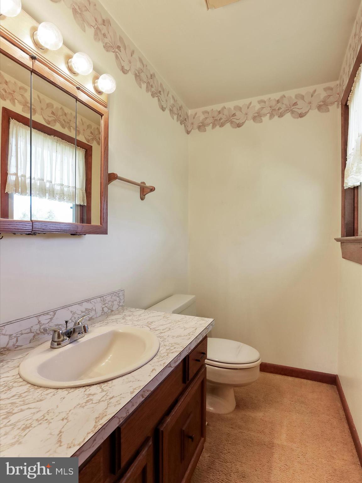 845 Funk Road Strasburg, VA 22657 - Photo 12 of 43 Primary Half Bath