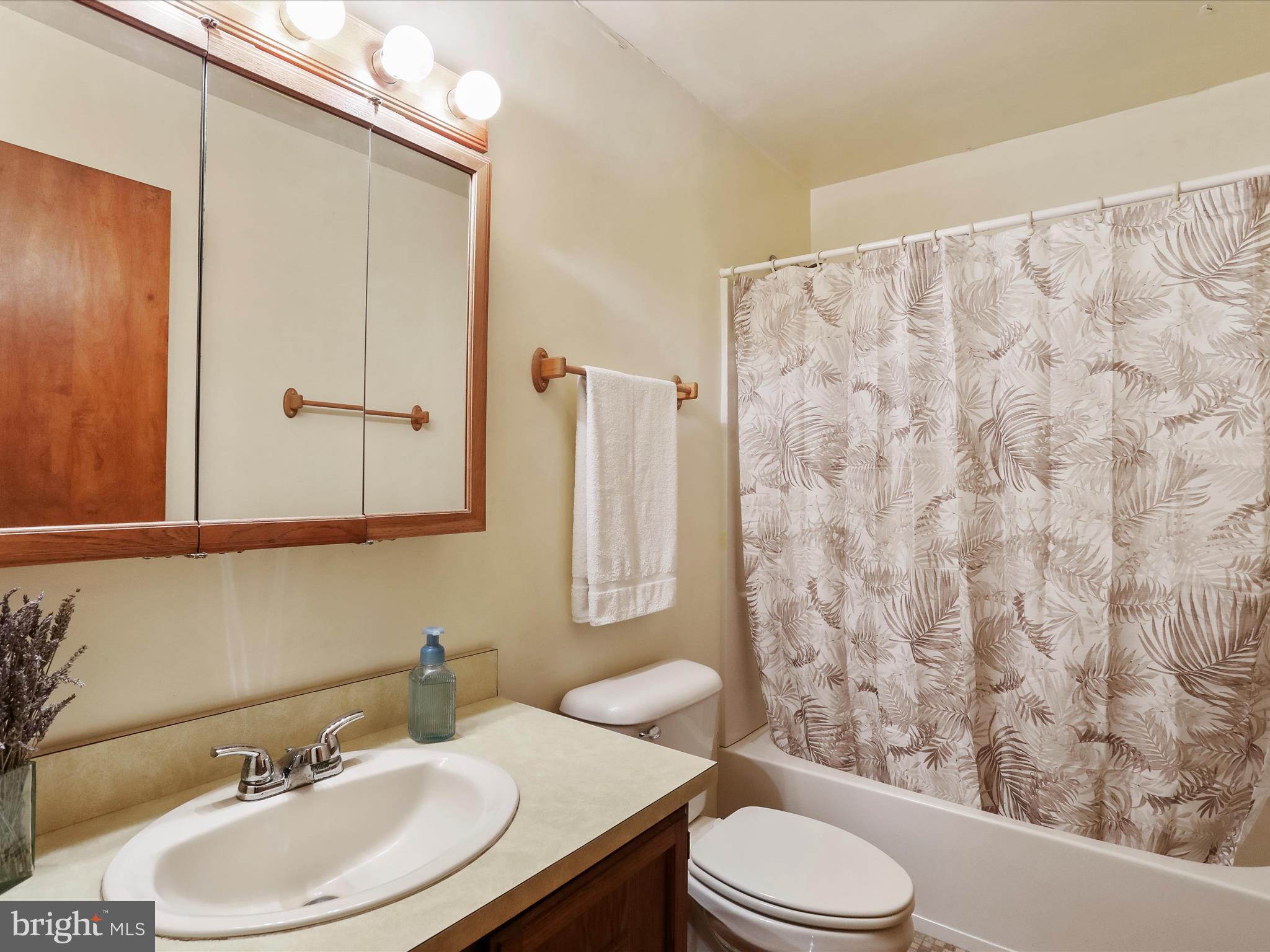 845 Funk Road Strasburg, VA 22657 - Photo 15 of 43 Full Bath