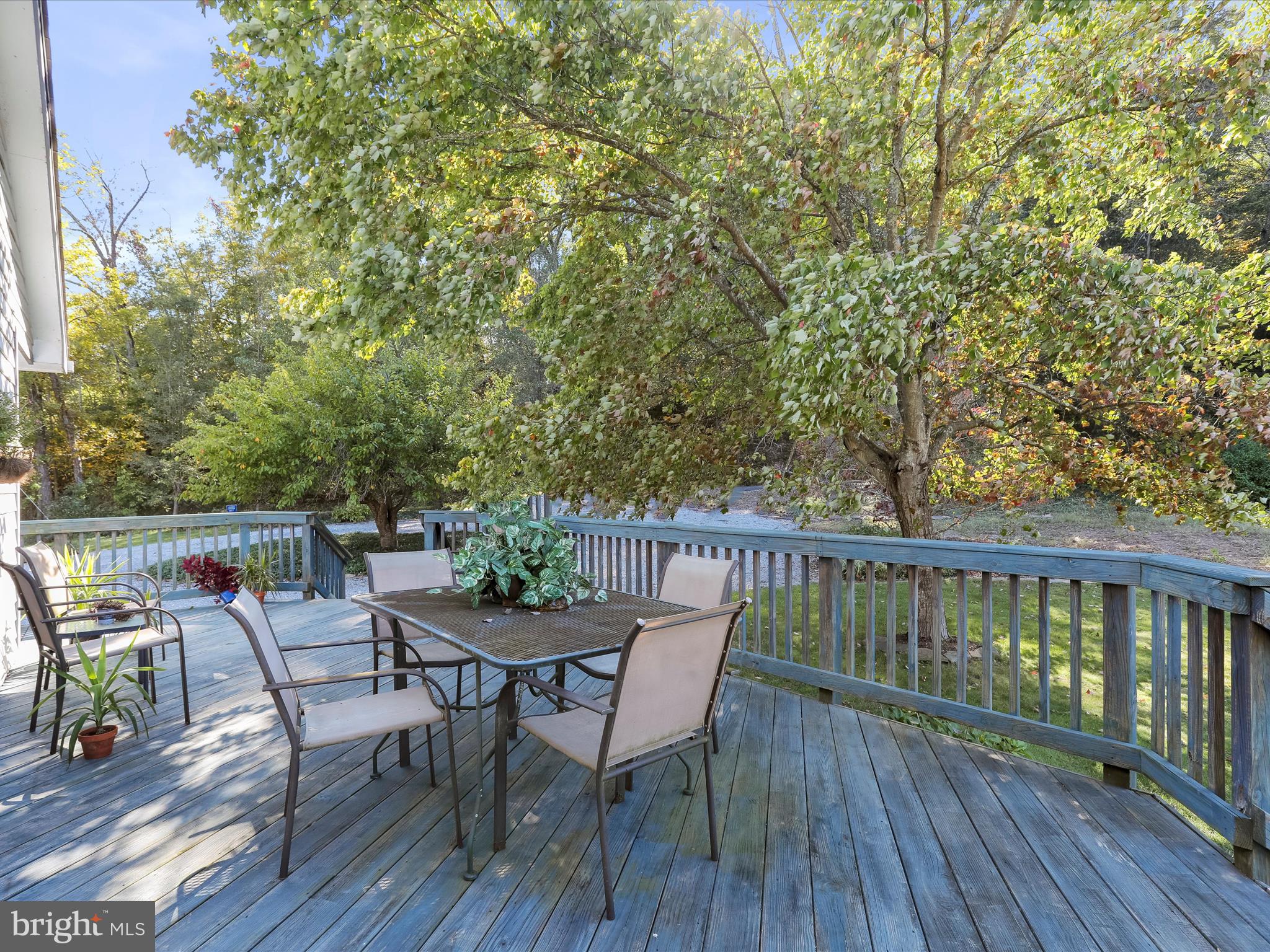845 Funk Road Strasburg, VA 22657 - Photo 25 of 43