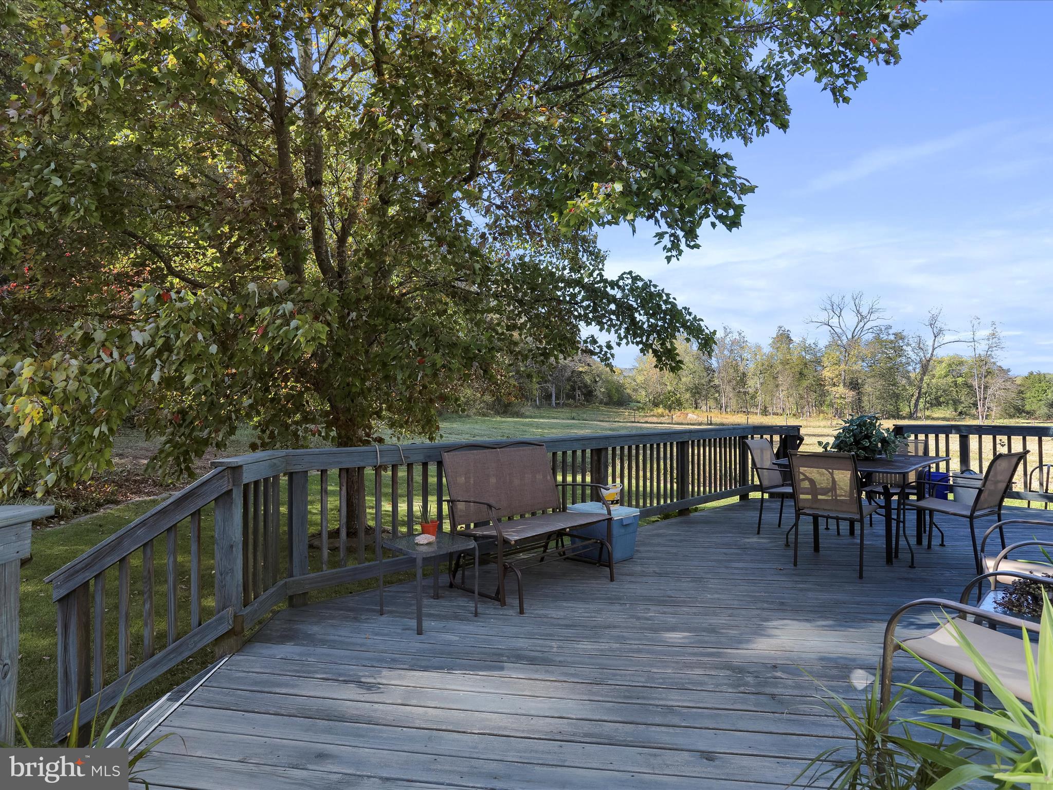 845 Funk Road Strasburg, VA 22657 - Photo 27 of 43