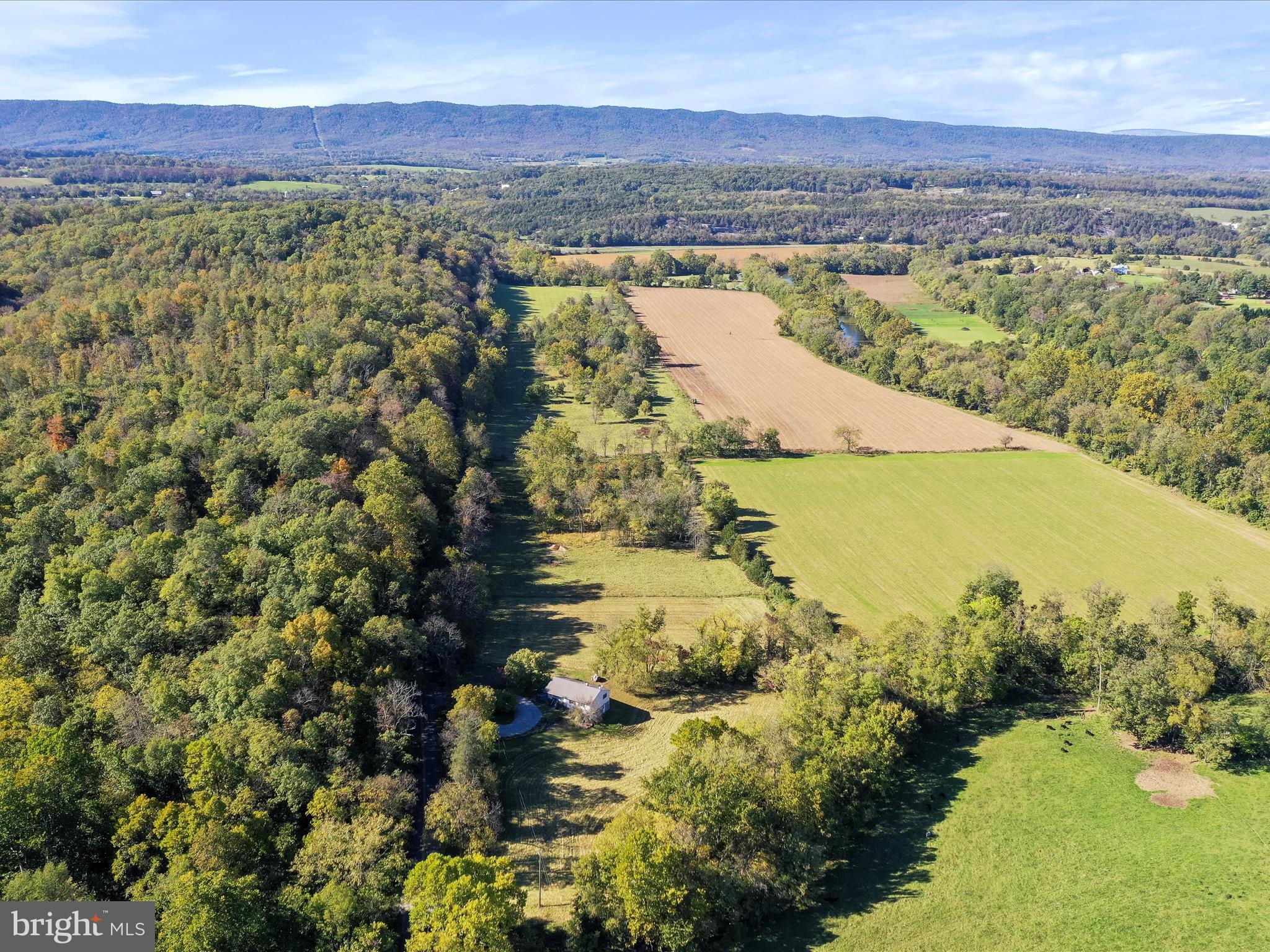 845 Funk Road Strasburg, VA 22657 - Photo 35 of 43