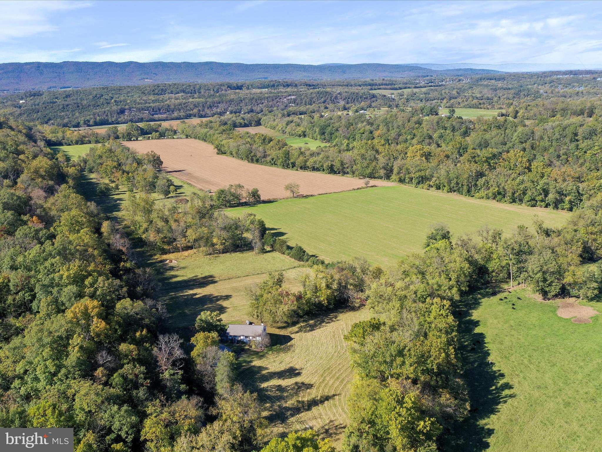 845 Funk Road Strasburg, VA 22657 - Photo 36 of 43