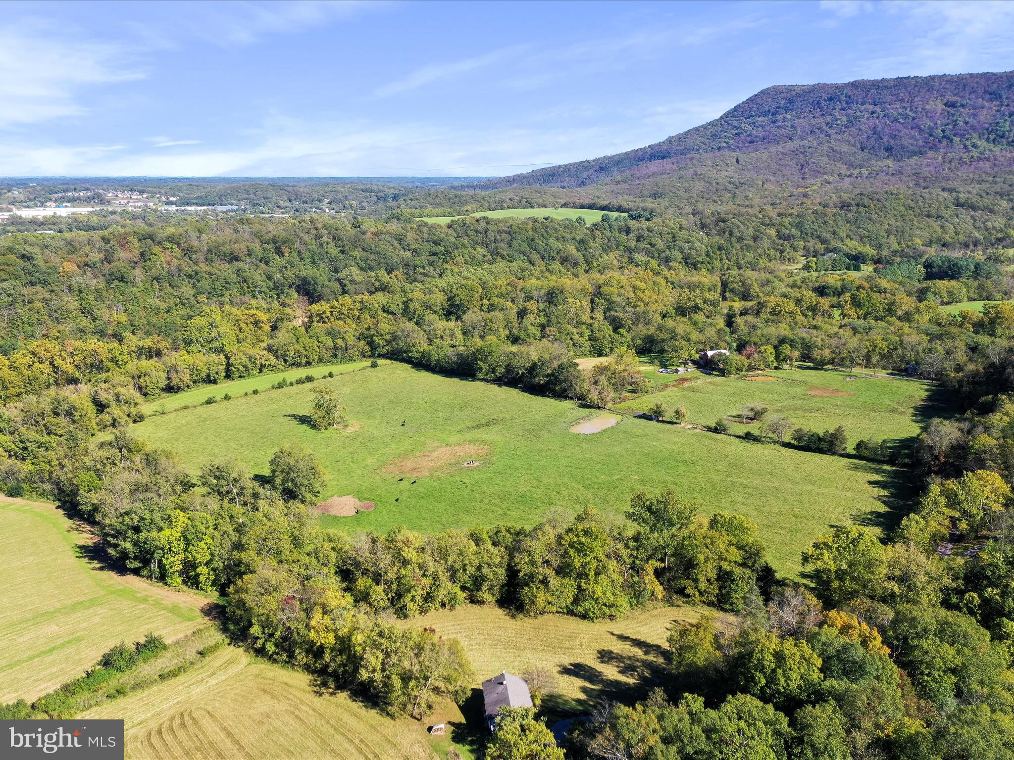 845 Funk Road Strasburg, VA 22657 - Photo 38 of 43