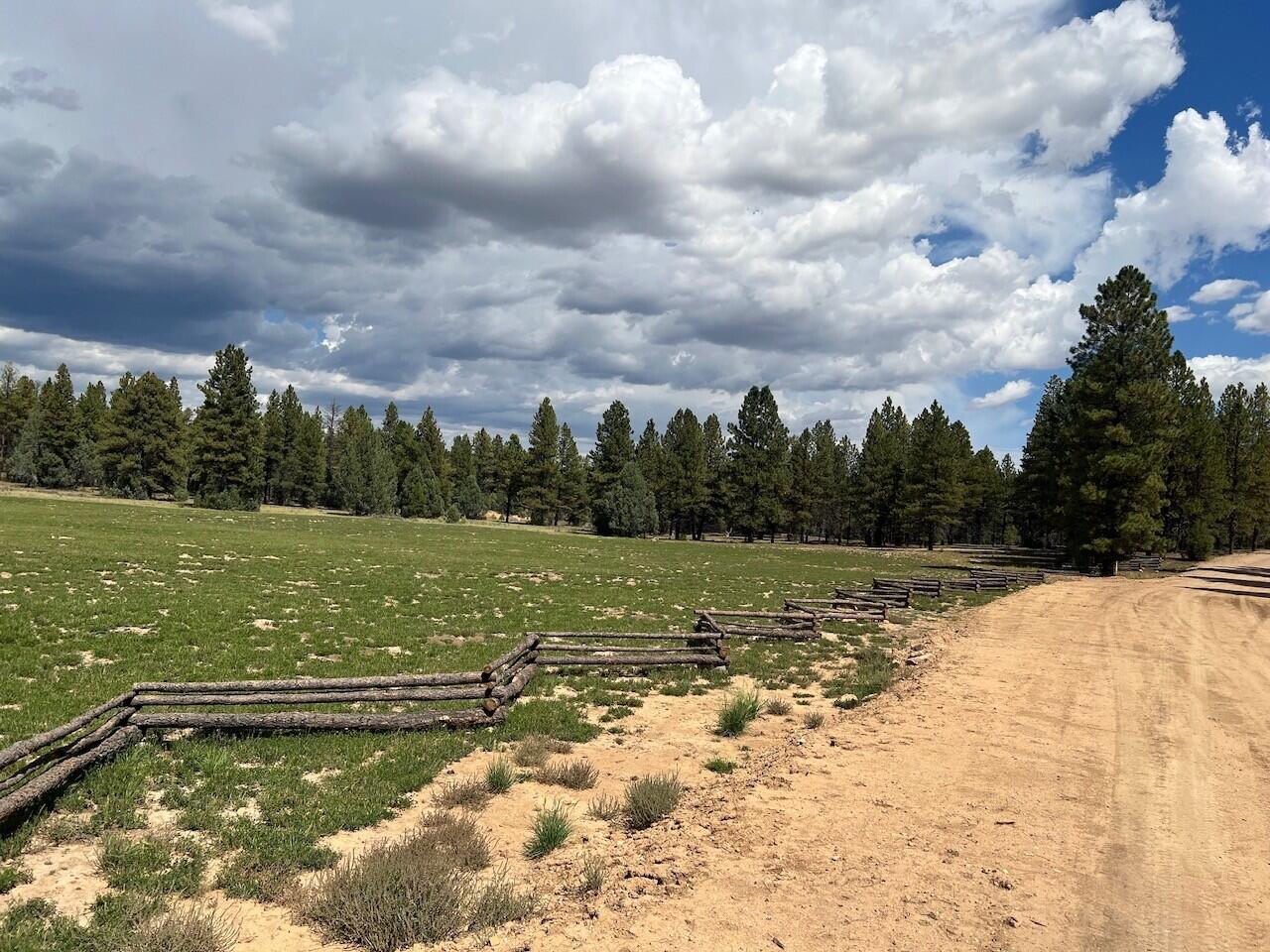 East end of the meadow