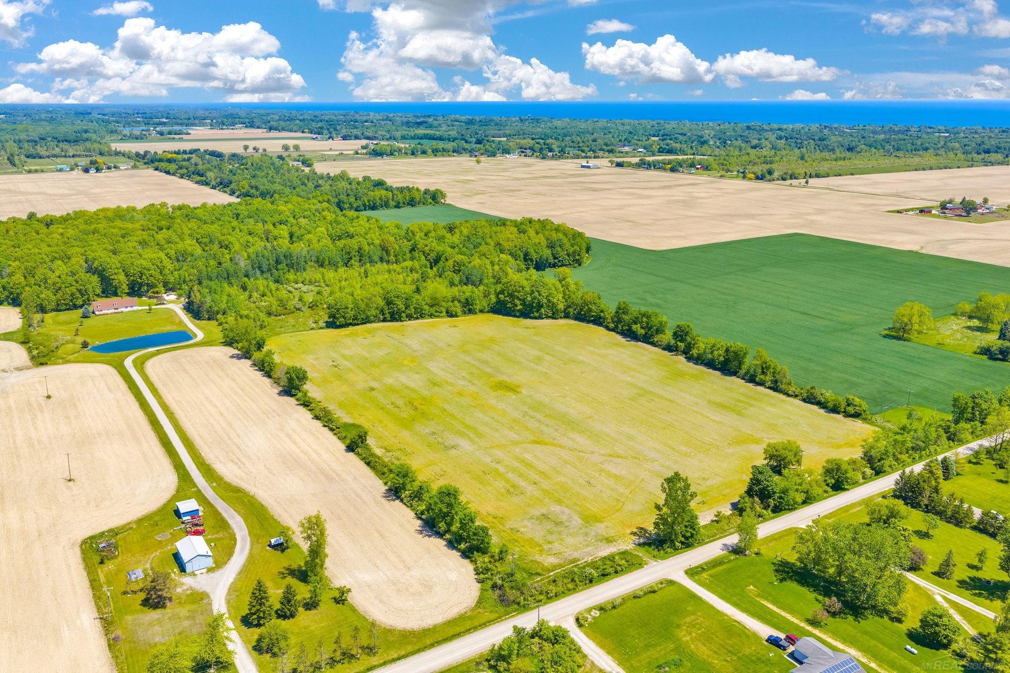 0 Wellman Line Road Yale, MI 48097 - Photo 4 of 10