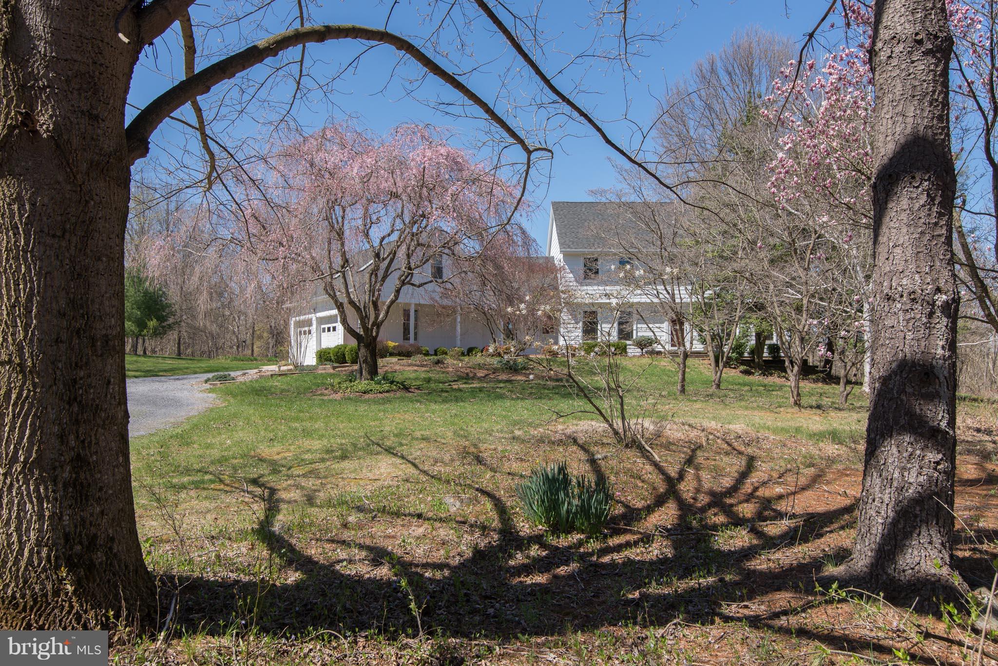 3503 Shepherd Grade Road Shepherdstown, WV 25443 - Photo 3 of 30 MATURE TREES AND PLANTINGS FRAME THE HOME