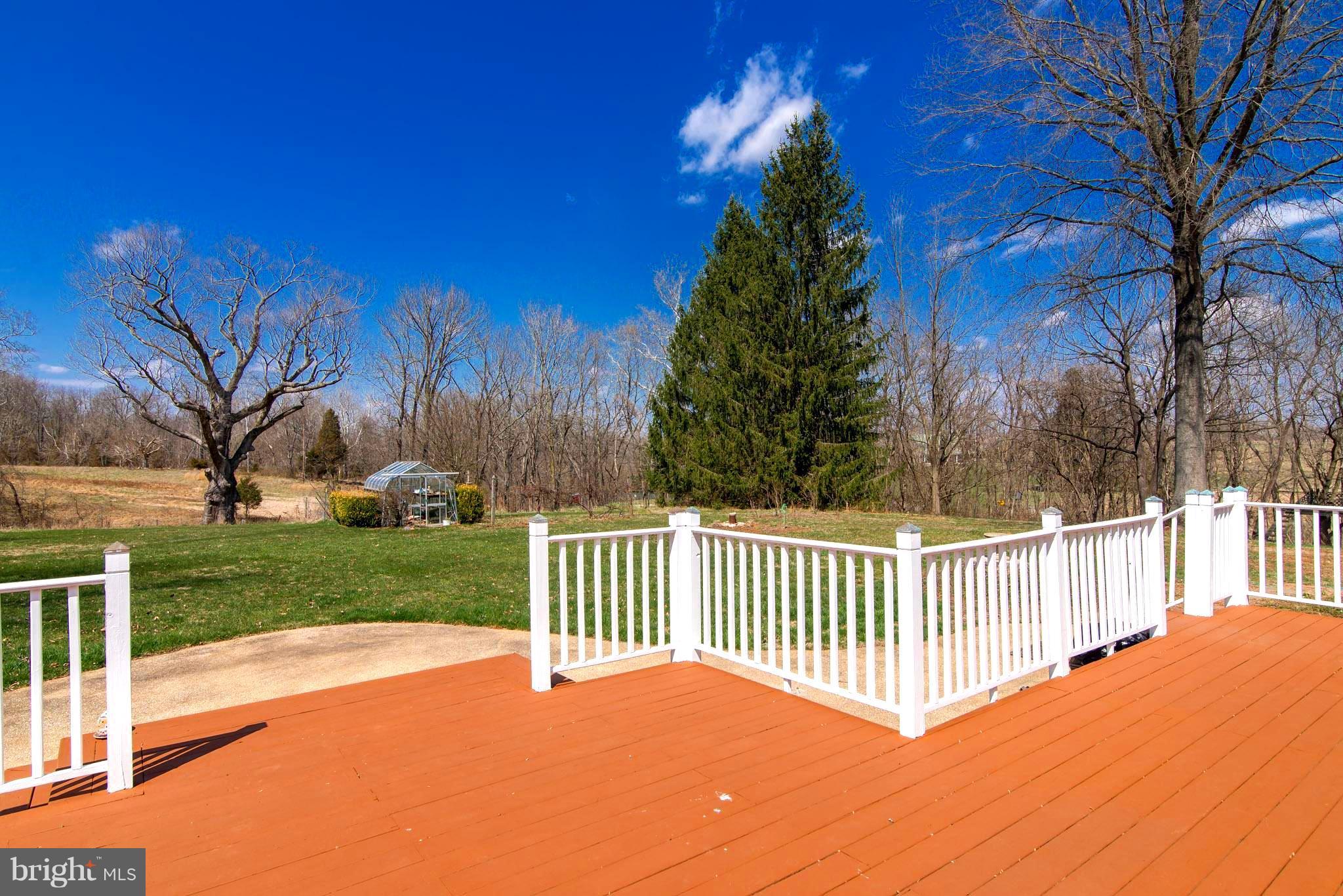 3503 Shepherd Grade Road Shepherdstown, WV 25443 - Photo 6 of 30 BACK YARD w/GREENHOUSE AND 300+ TR OLD OAK TREE