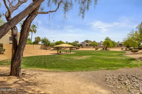 a view of a park with large trees