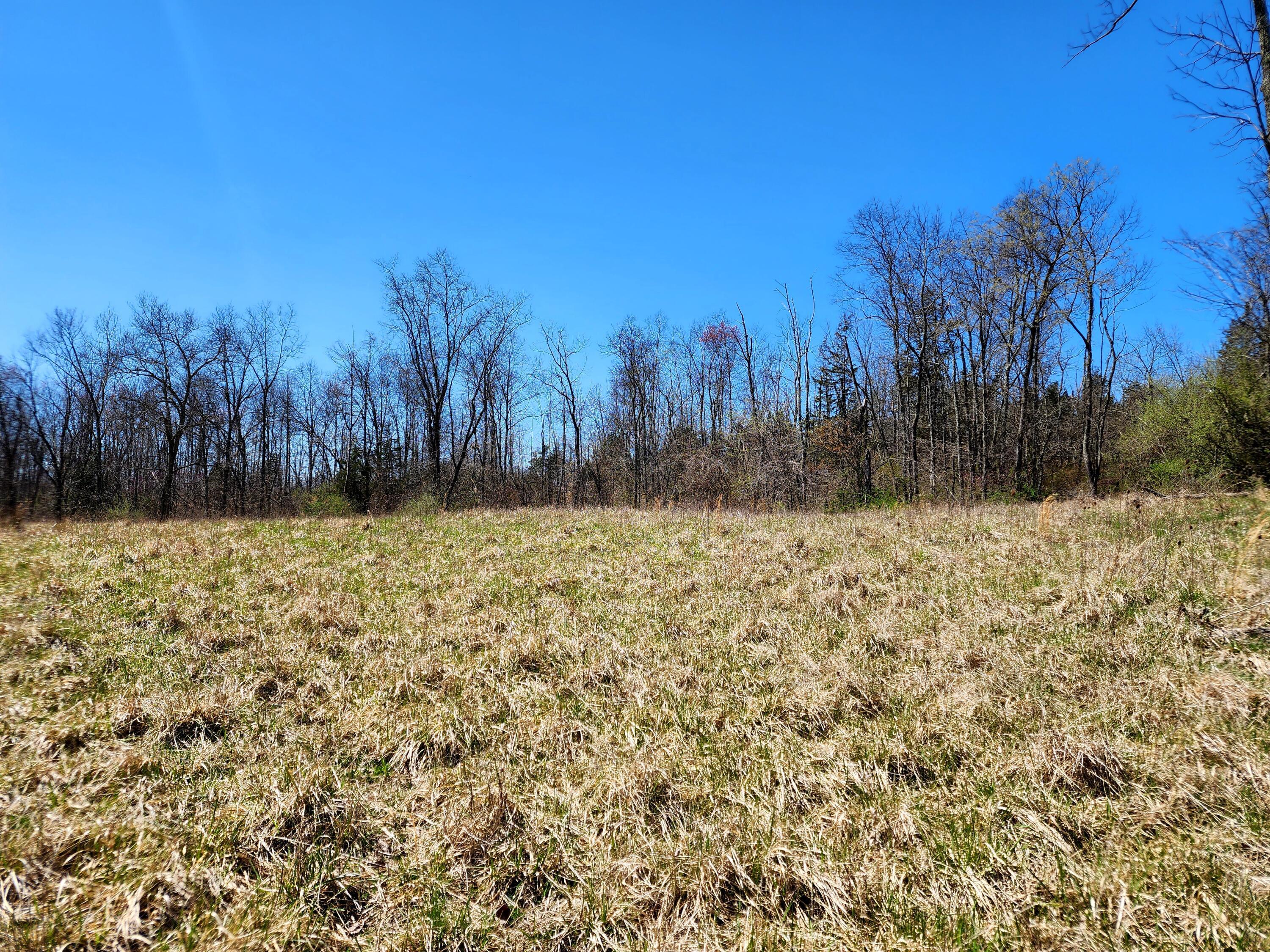 0 Halleys Ridge Road Caldwell, OH 43724 - Photo 12 of 69 20230411_131804