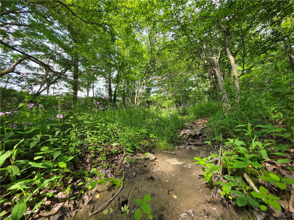 Potter Road Greenwood, NY 14839 - Photo 16 of 23