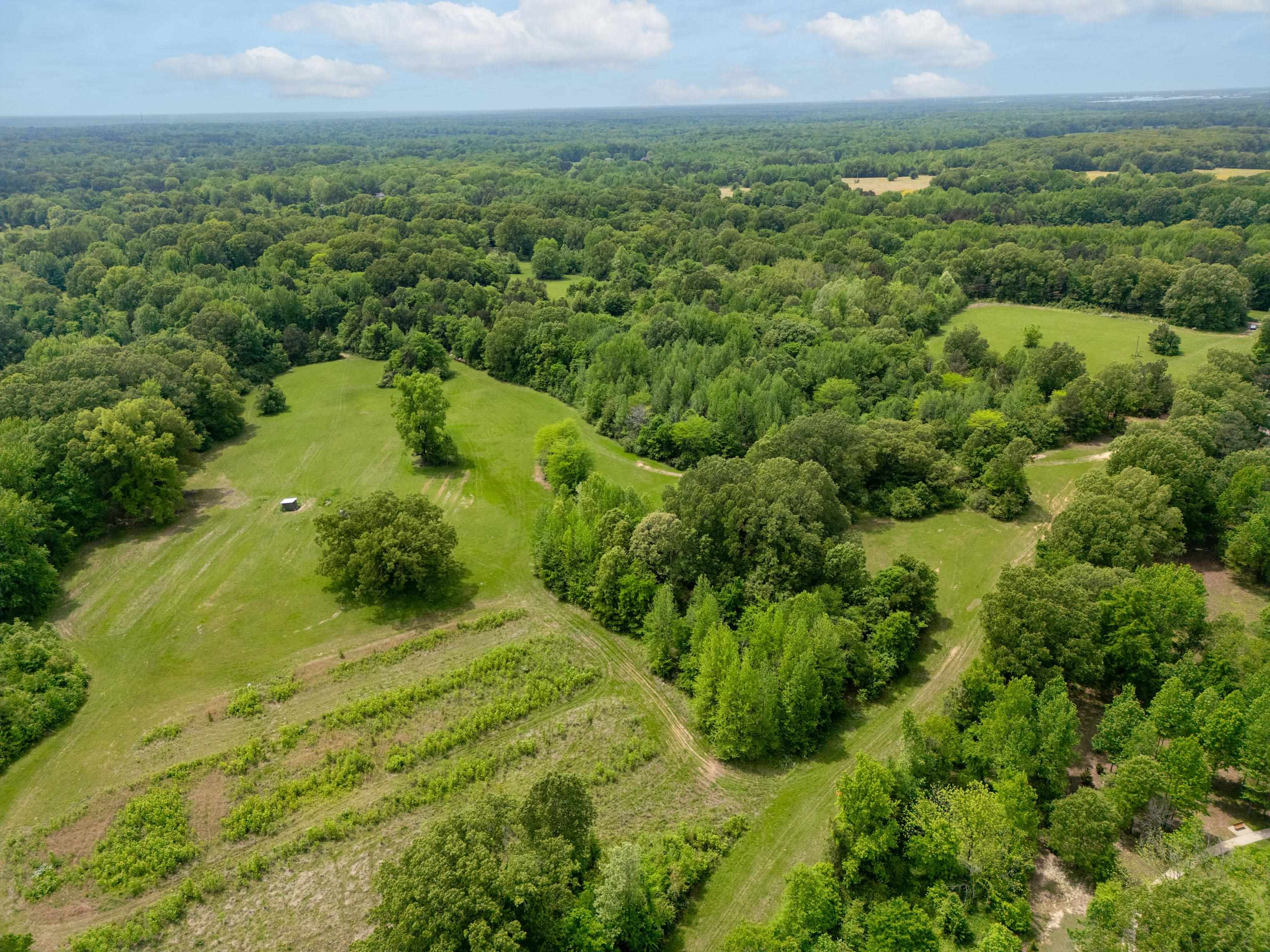 1492 Sycamore Road Collierville, TN 38017 - Photo 15 of 18 a view of a green yard