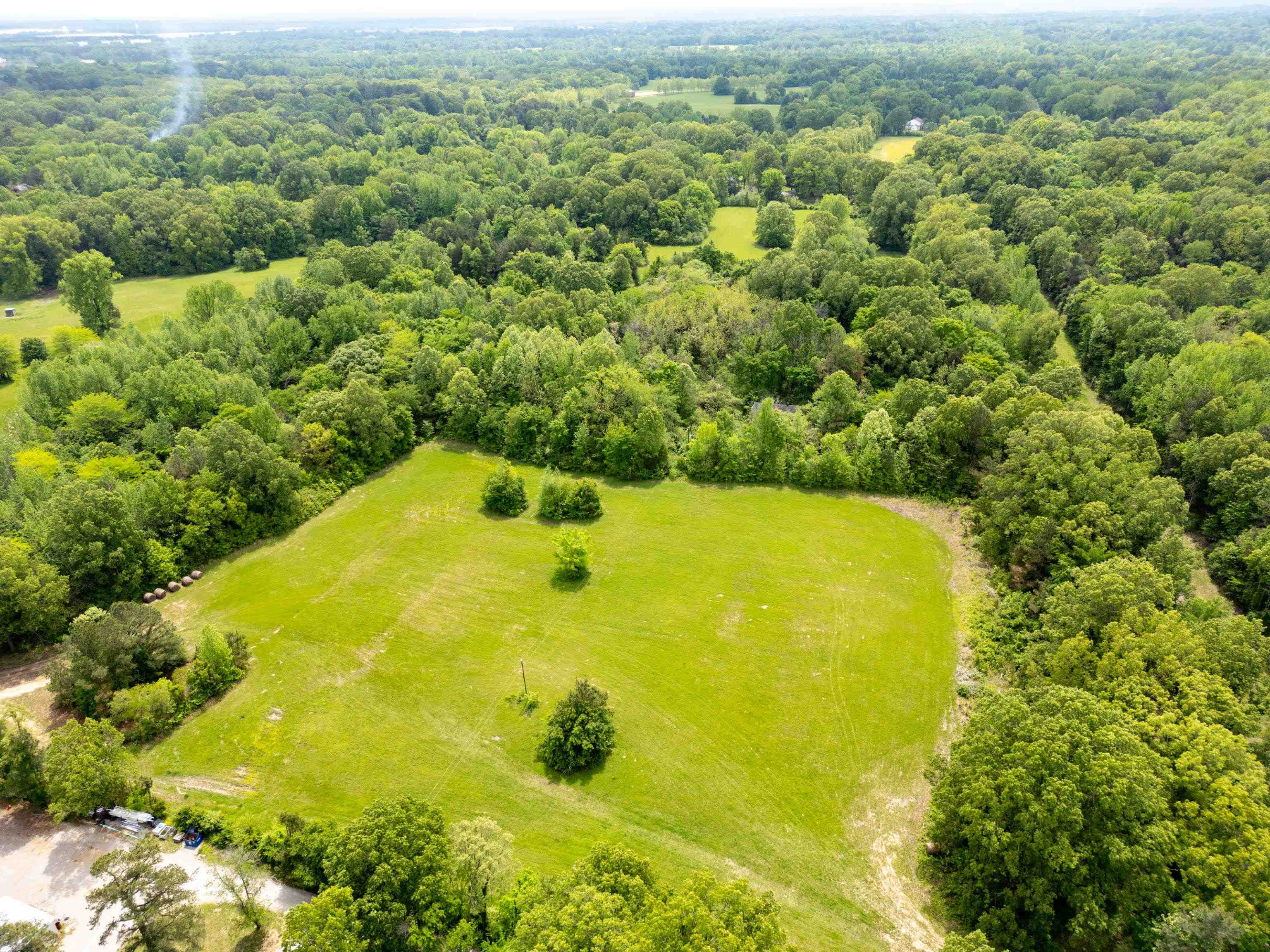 1492 Sycamore Road Collierville, TN 38017 - Photo 3 of 18 a view of a large yard with plants and large trees