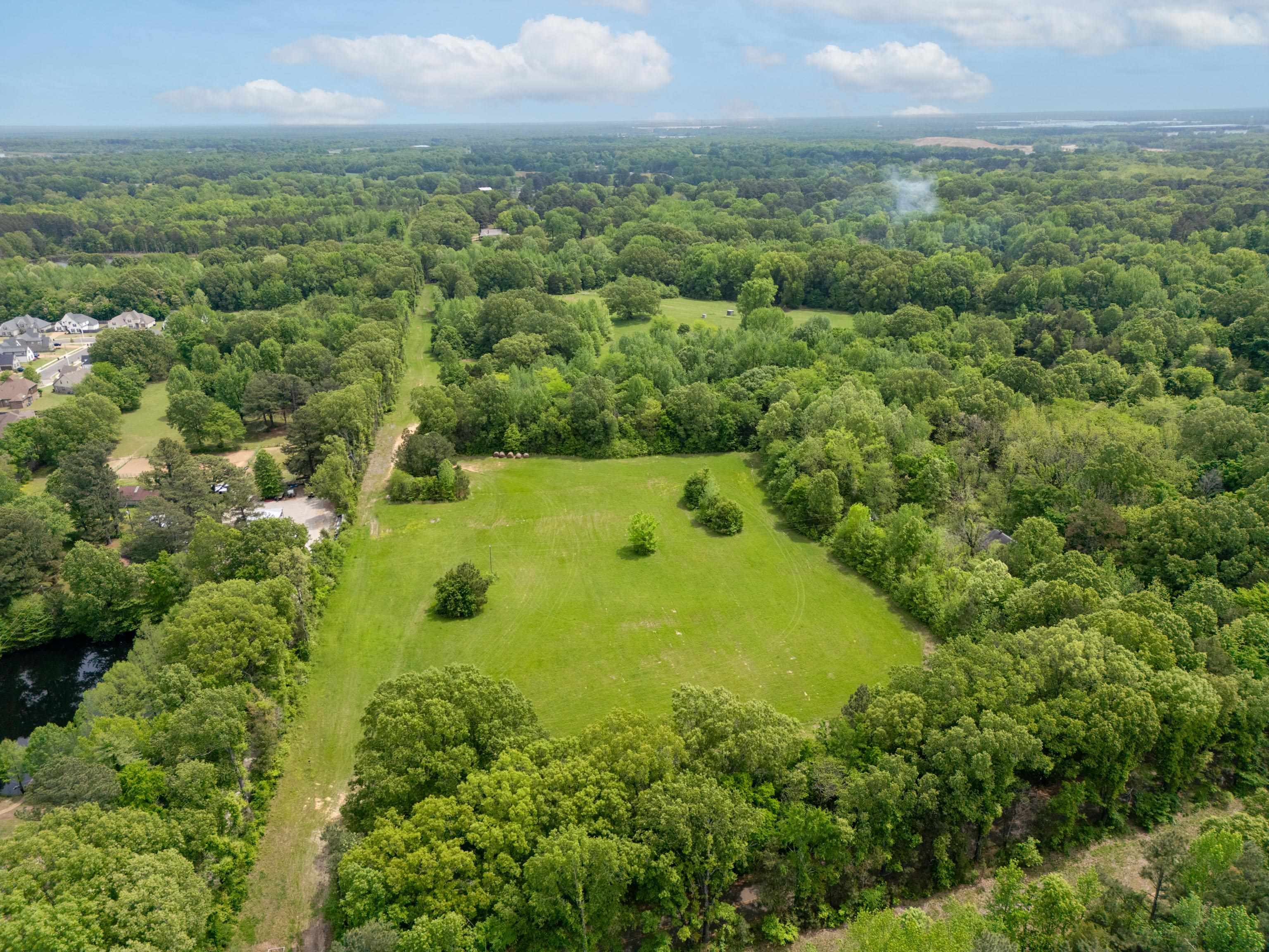 1492 Sycamore Road Collierville, TN 38017 - Photo 6 of 18 a view of a big yard with large trees