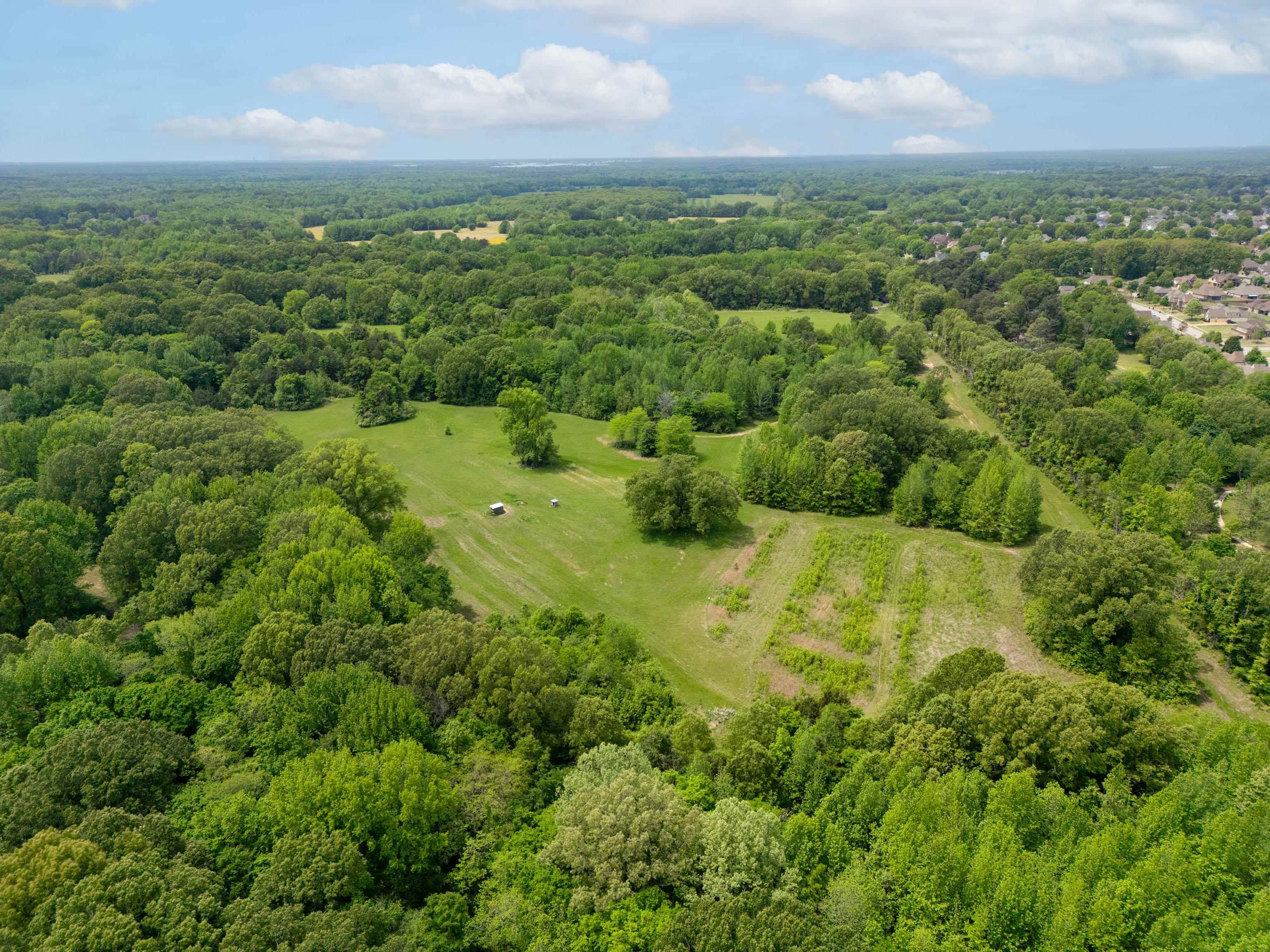 1492 Sycamore Road Collierville, TN 38017 - Photo 7 of 18 a view of a green field