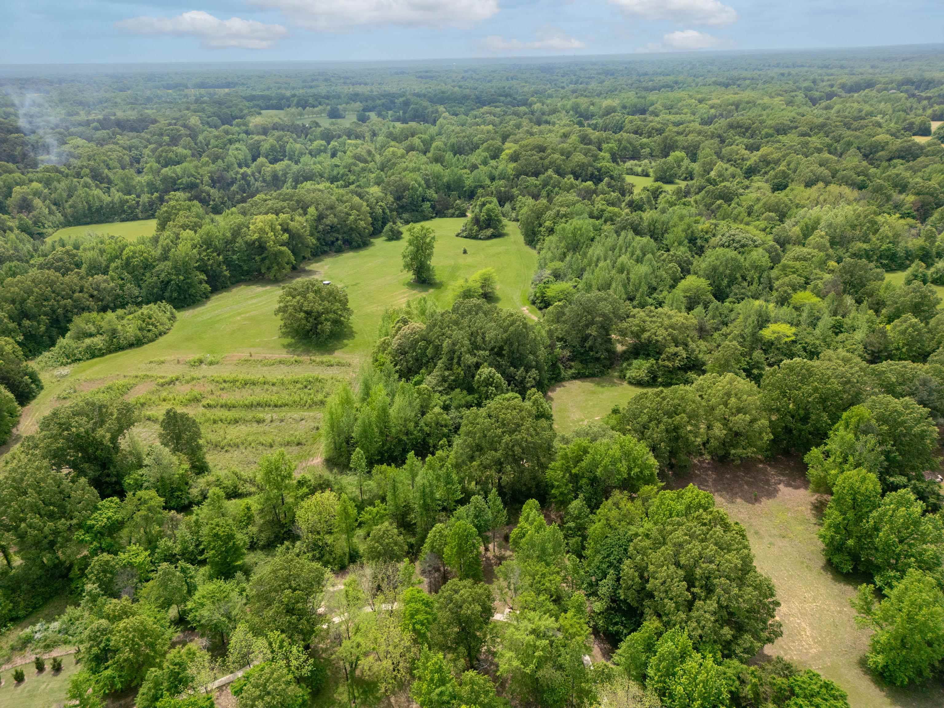 1492 Sycamore Road Collierville, TN 38017 - Photo 9 of 18 an aerial view of residential houses with outdoor space and trees