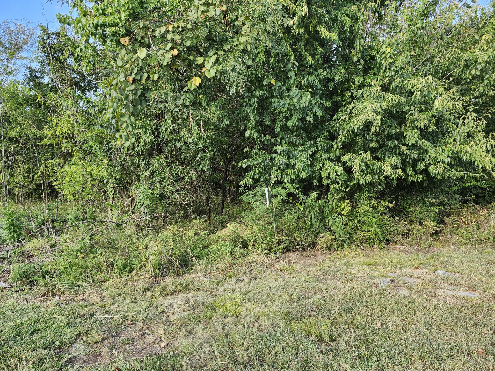 683 Battle Road Nolensville, TN 37135 - Photo 2 of 11 Gallery Image 2