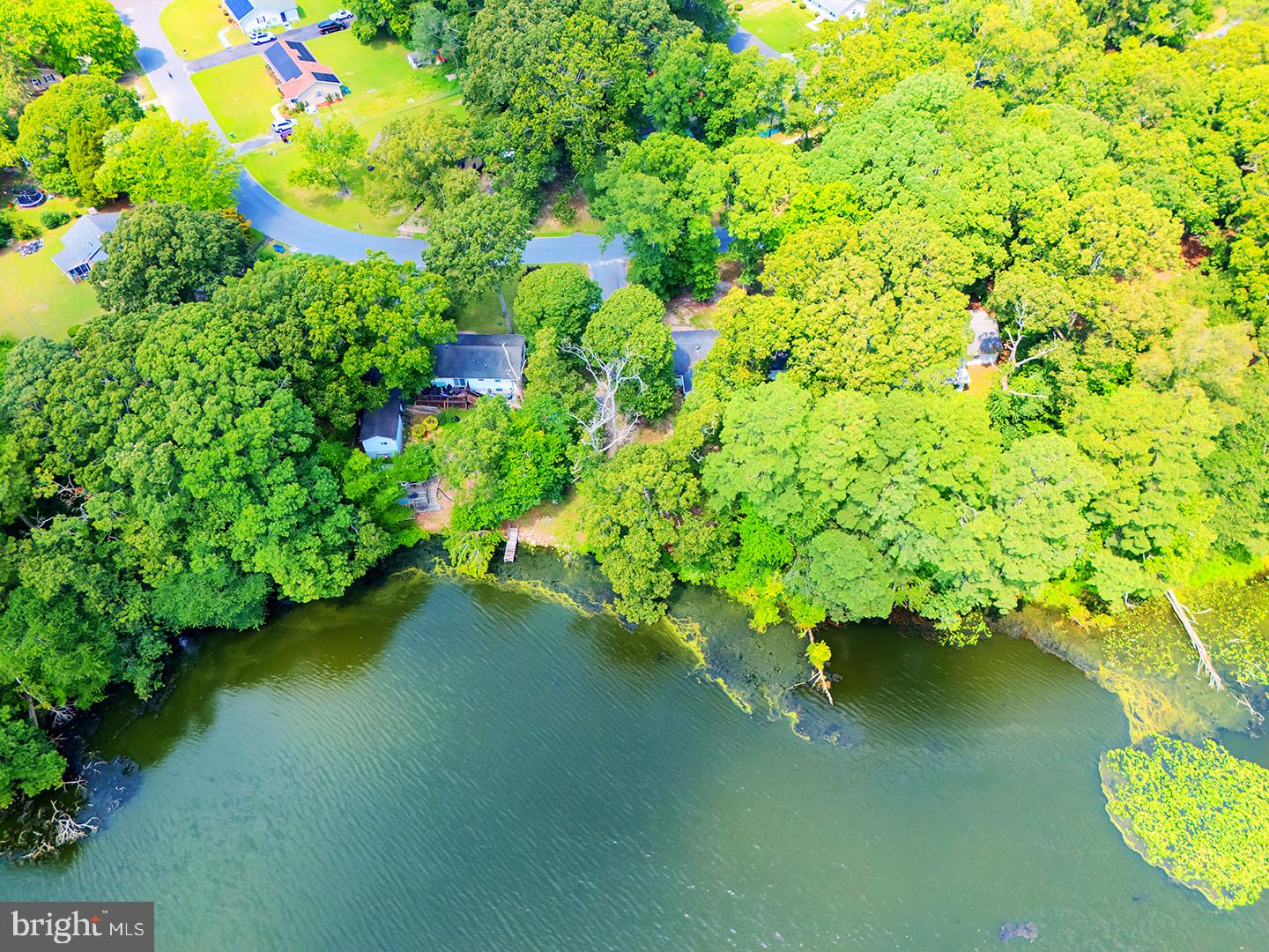 1211 Flamingo Road Salisbury, MD 21801 - Photo 52 of 63 Lush greenery meets tranquil waters.