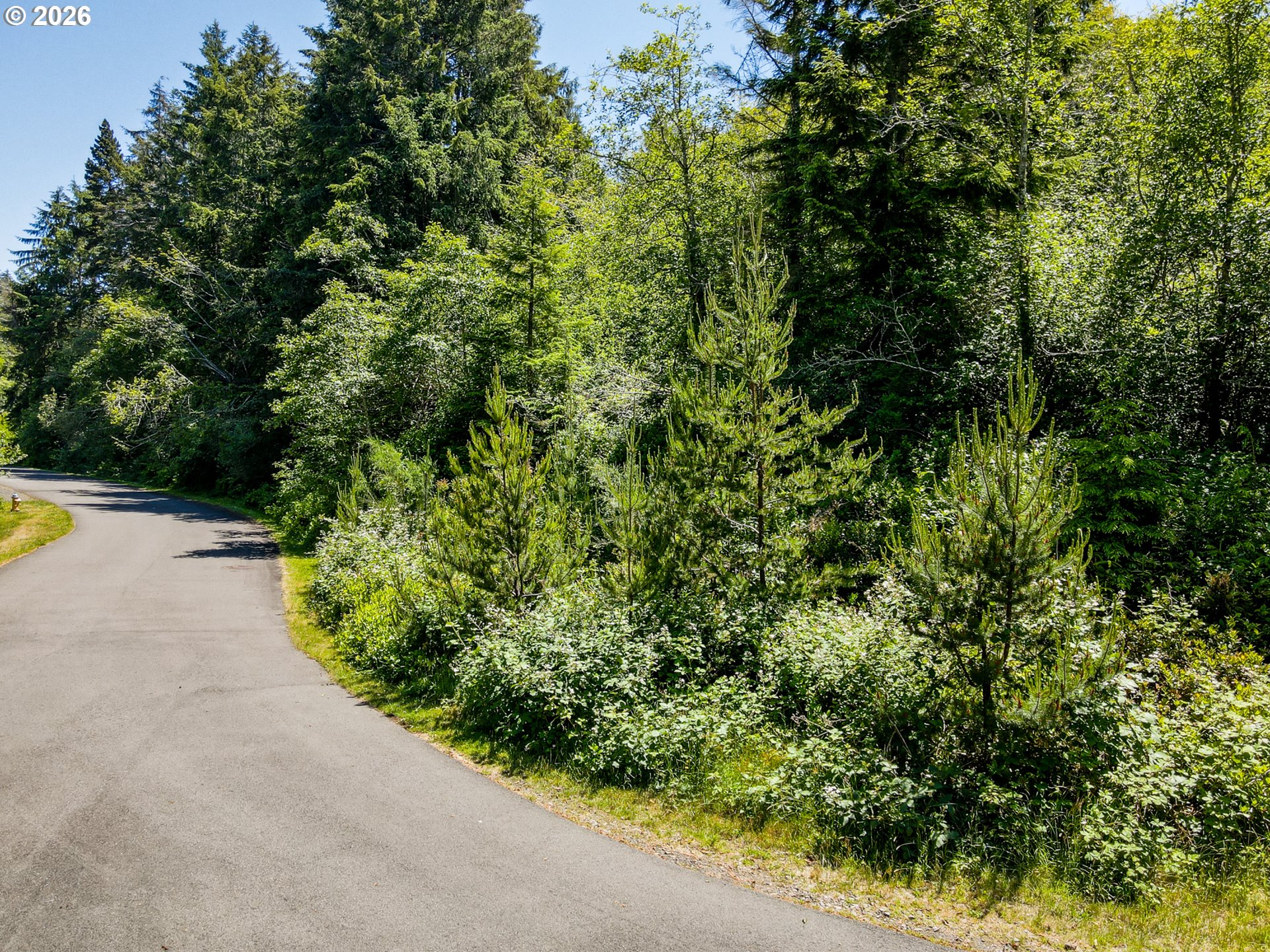 15 Dewolf Road, Unit LOT 15 Nehalem, OR 97131 - Photo 19 of 25