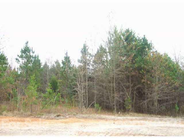 9 Petes Road Lincolnton, NC 28092 - Photo 1 of 1 a view of a yard with large trees