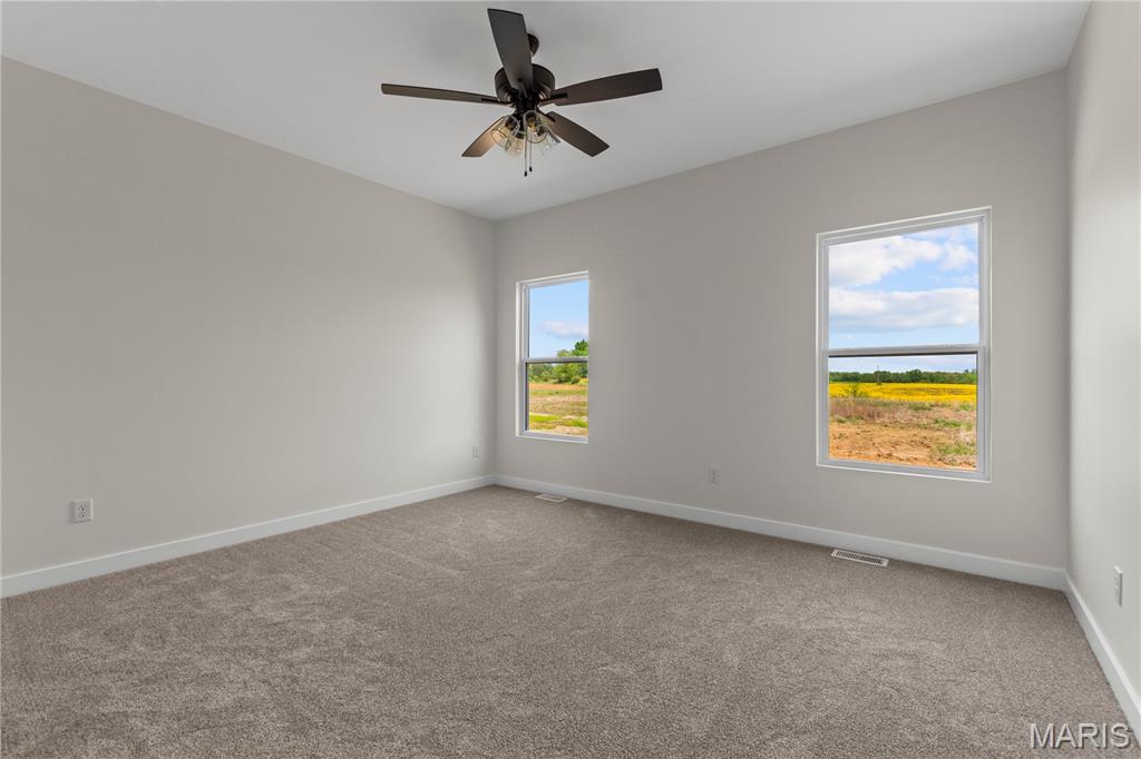 914 Seneca Drive Waterloo, IL 62298 - Photo 20 of 38