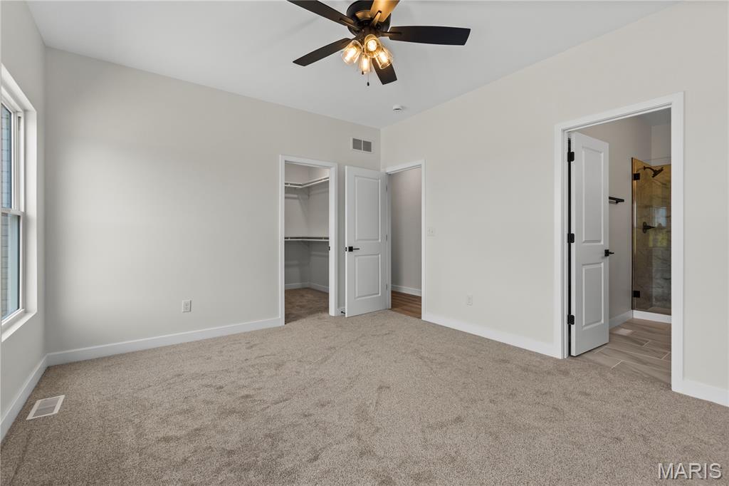 914 Seneca Drive Waterloo, IL 62298 - Photo 21 of 38