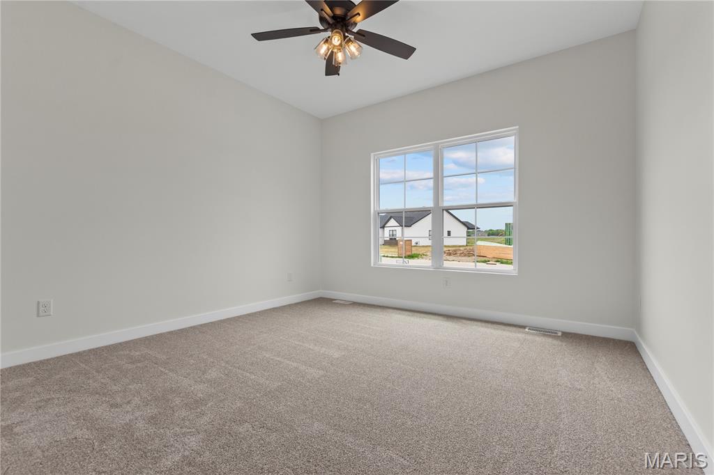 914 Seneca Drive Waterloo, IL 62298 - Photo 5 of 38