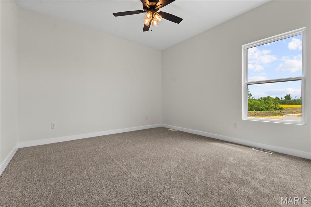 914 Seneca Drive Waterloo, IL 62298 - Photo 7 of 38