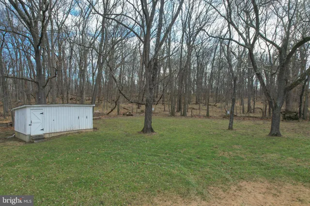 a view of a park with large trees