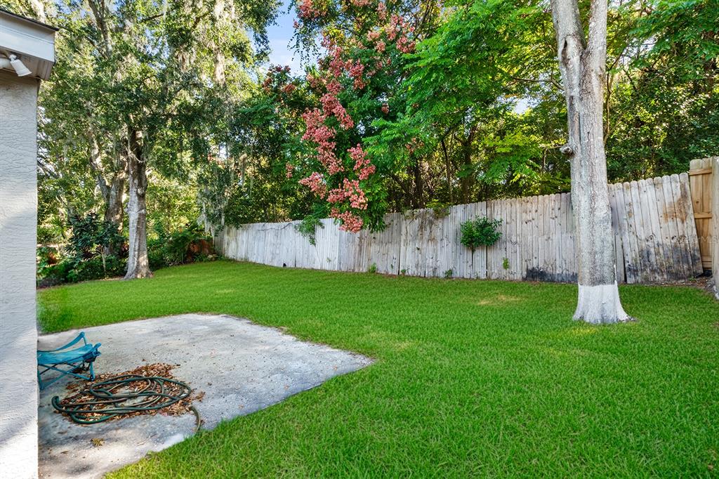 608 Bridge Creek Boulevard Ocoee, FL 34761 - Photo 16 of 17 a view of a back yard