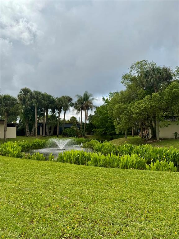 2379 Flamingo Way Winter Park, FL 32792 - Photo 24 of 25 a view of a big yard with plants and large trees