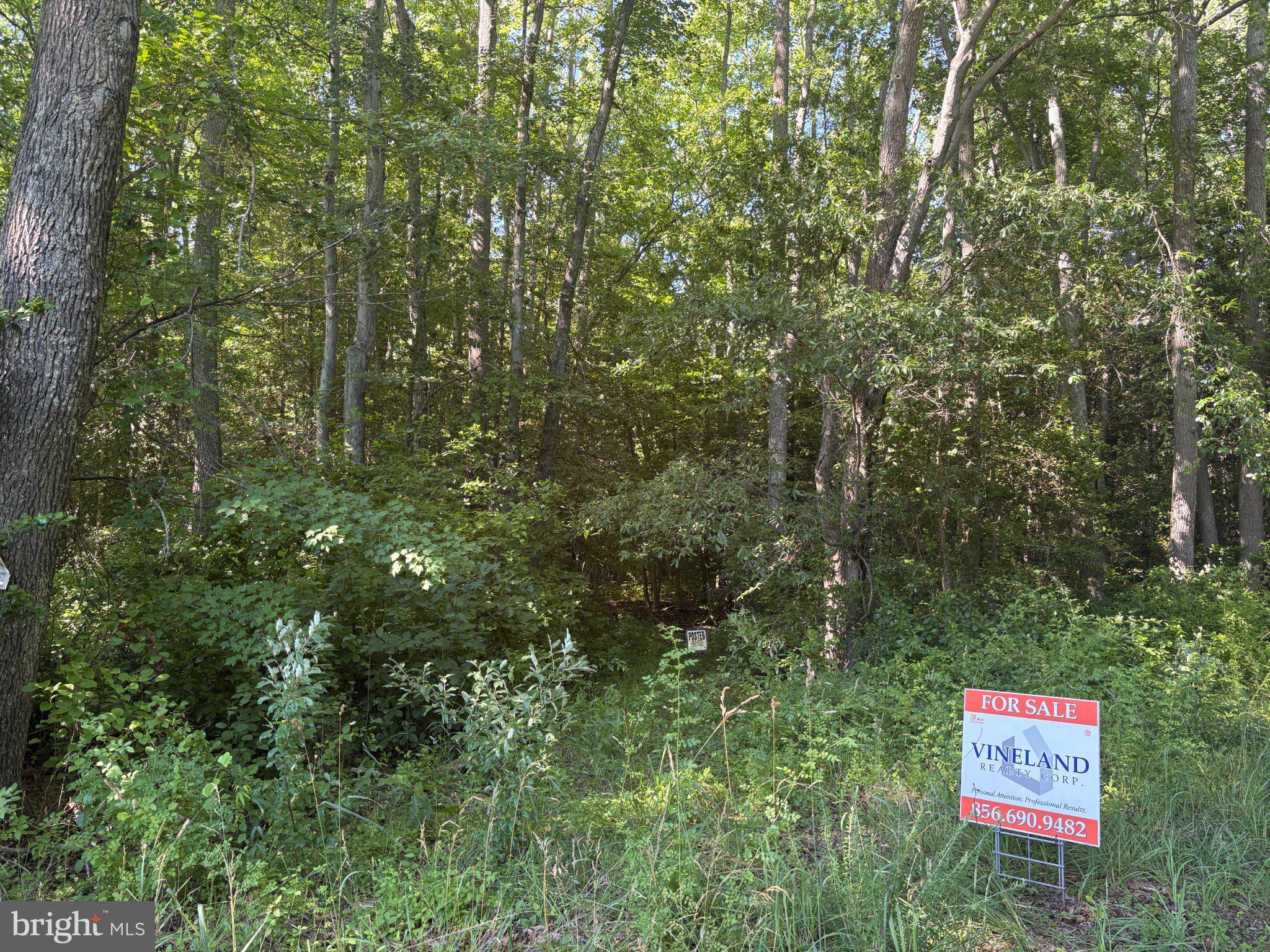 0 Mill Pond Road Salem County, NJ 08502 - Photo 1 of 4 Serene wooded lot for sale