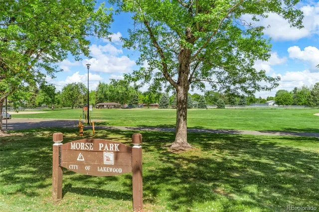 a view of a park with a tree