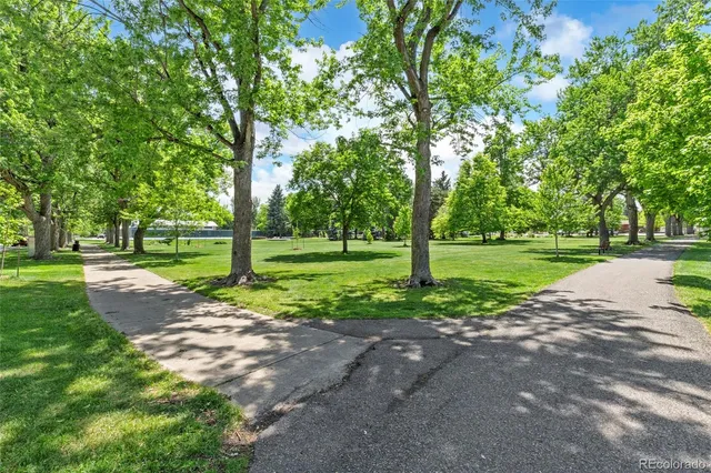 a view of a park with tree s