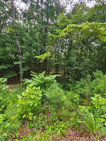 $75,000 | 0 Pineywood Drive, Ringgold, GA 30736