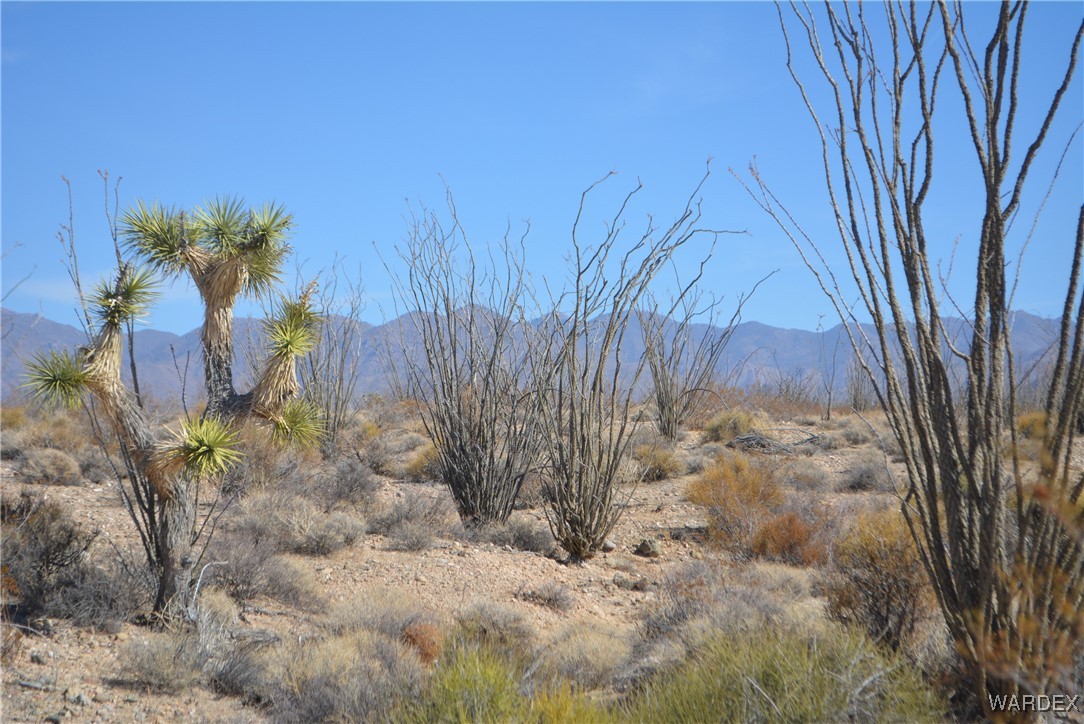 245-24-107 South Rainbow Road Yucca, AZ 86438 - Photo 56 of 91
