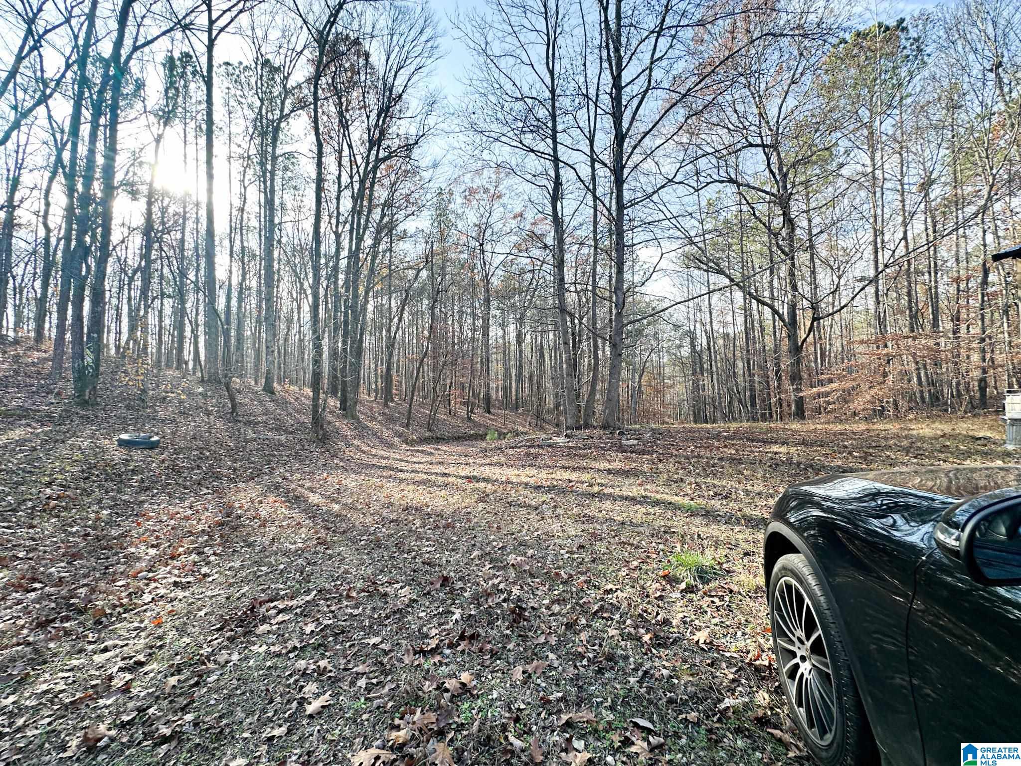 5325 Union T Road Talladega, AL 35160 - Photo 22 of 83