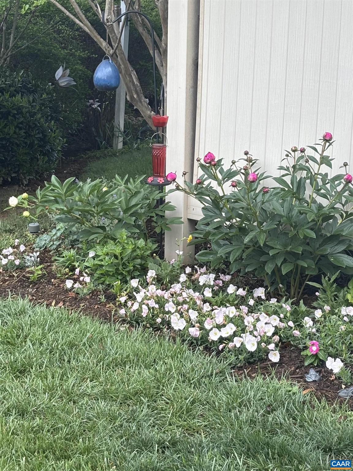 1338 Gate Post Lane Charlottesville, VA 22901 - Photo 4 of 50 a view of a flower arrangement in backyard