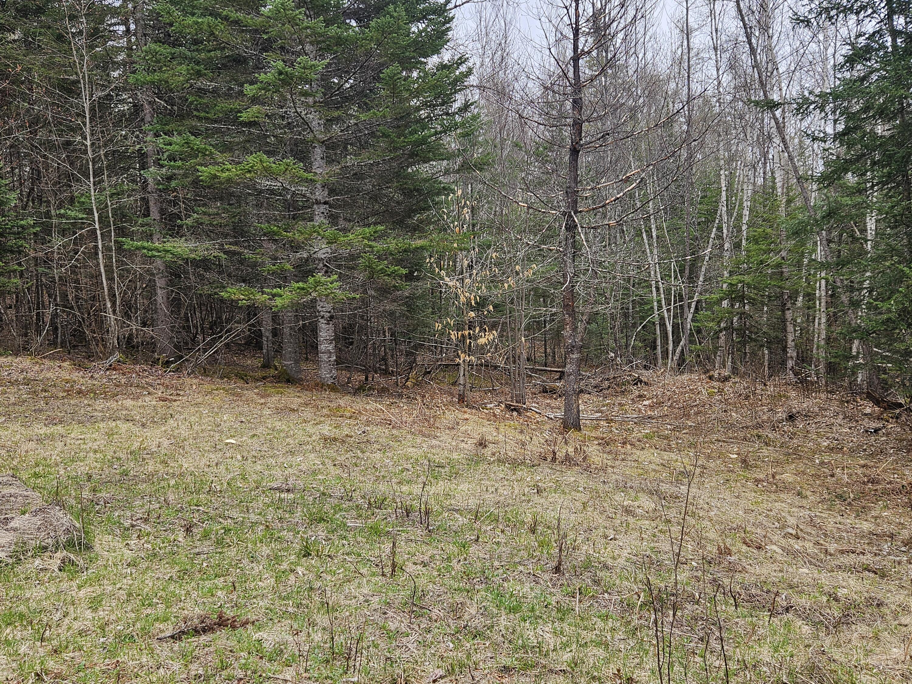 10 Hobbstown Road Milo, ME 04463 - Photo 11 of 11 1000013034